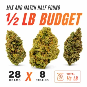 1/2 LB Budget