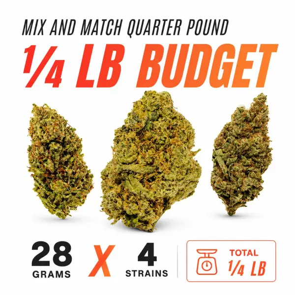 1/4 lb budget