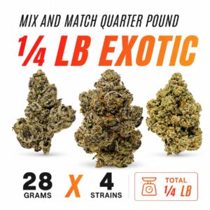 mix and match quarter pound