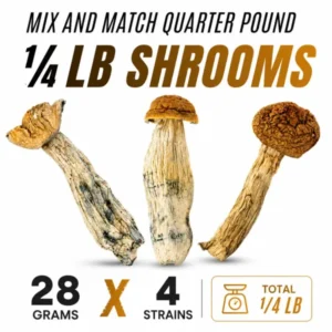 1/4 lb shrooms