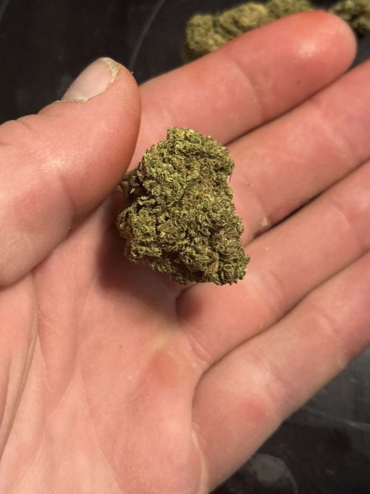 Customer photo