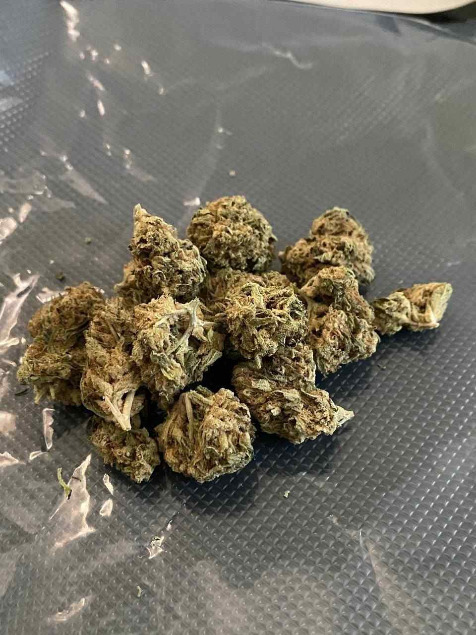 Customer photo