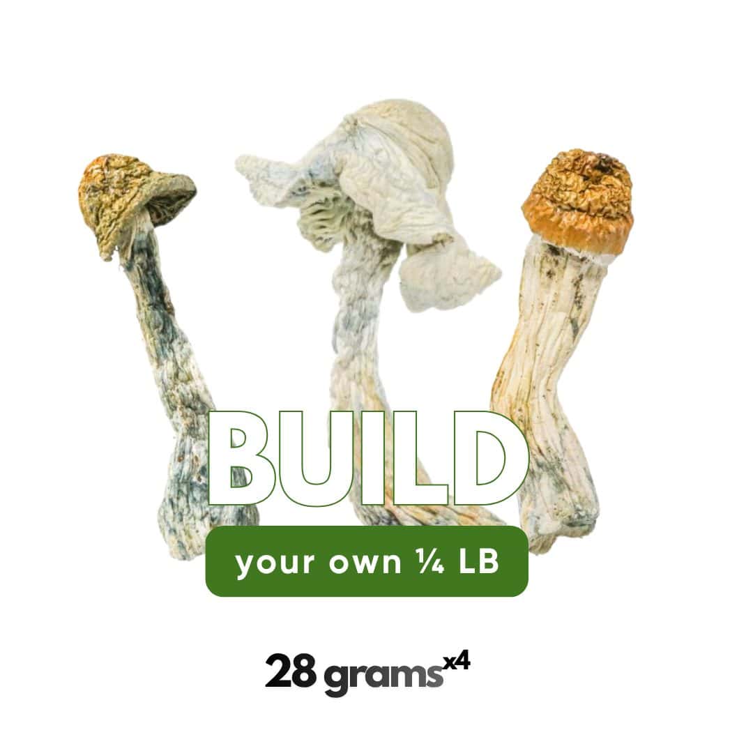 qp shrooms