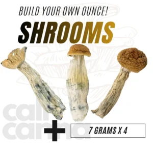 shrooms build your own ounce