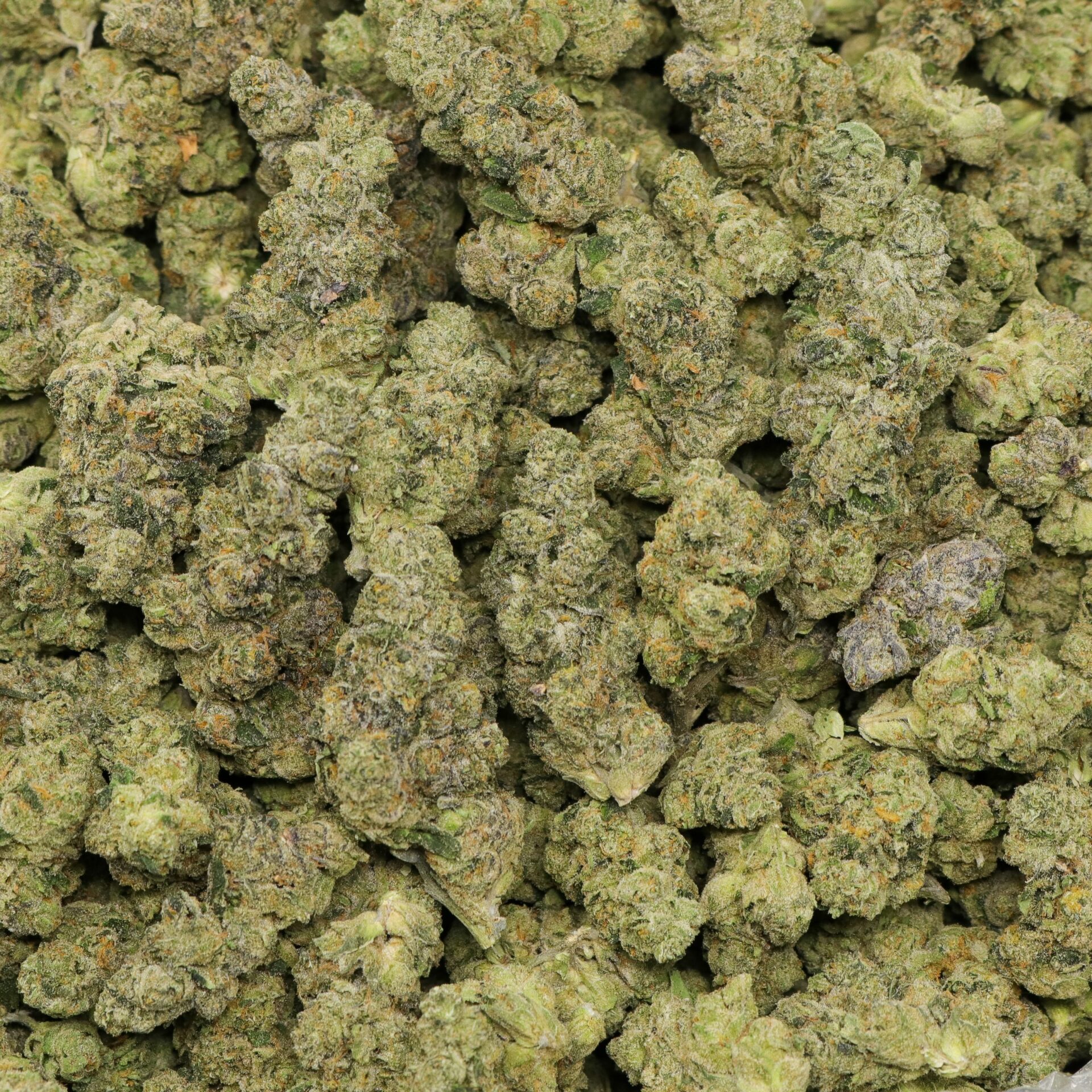 Candy Combustion - Image 2
