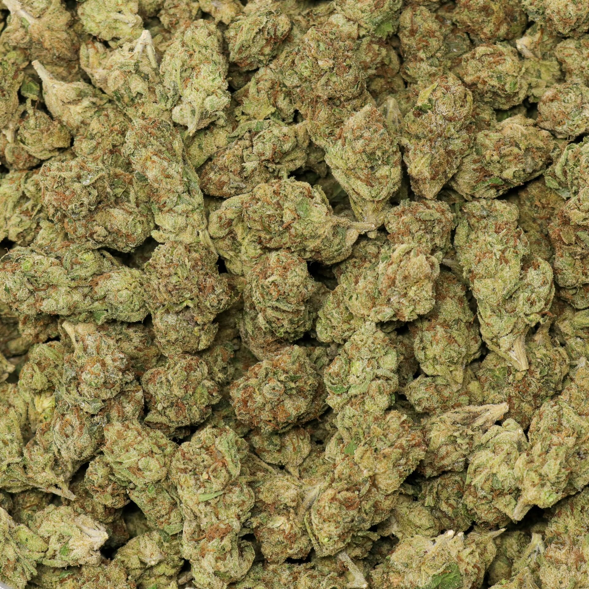 Cherry Runtz - Image 2