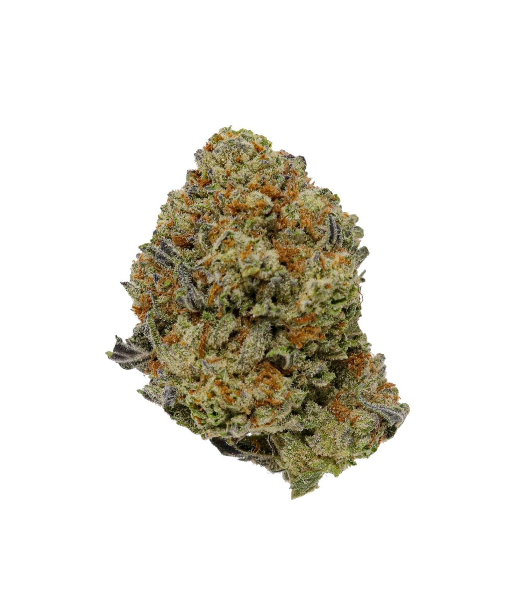 Gelato King