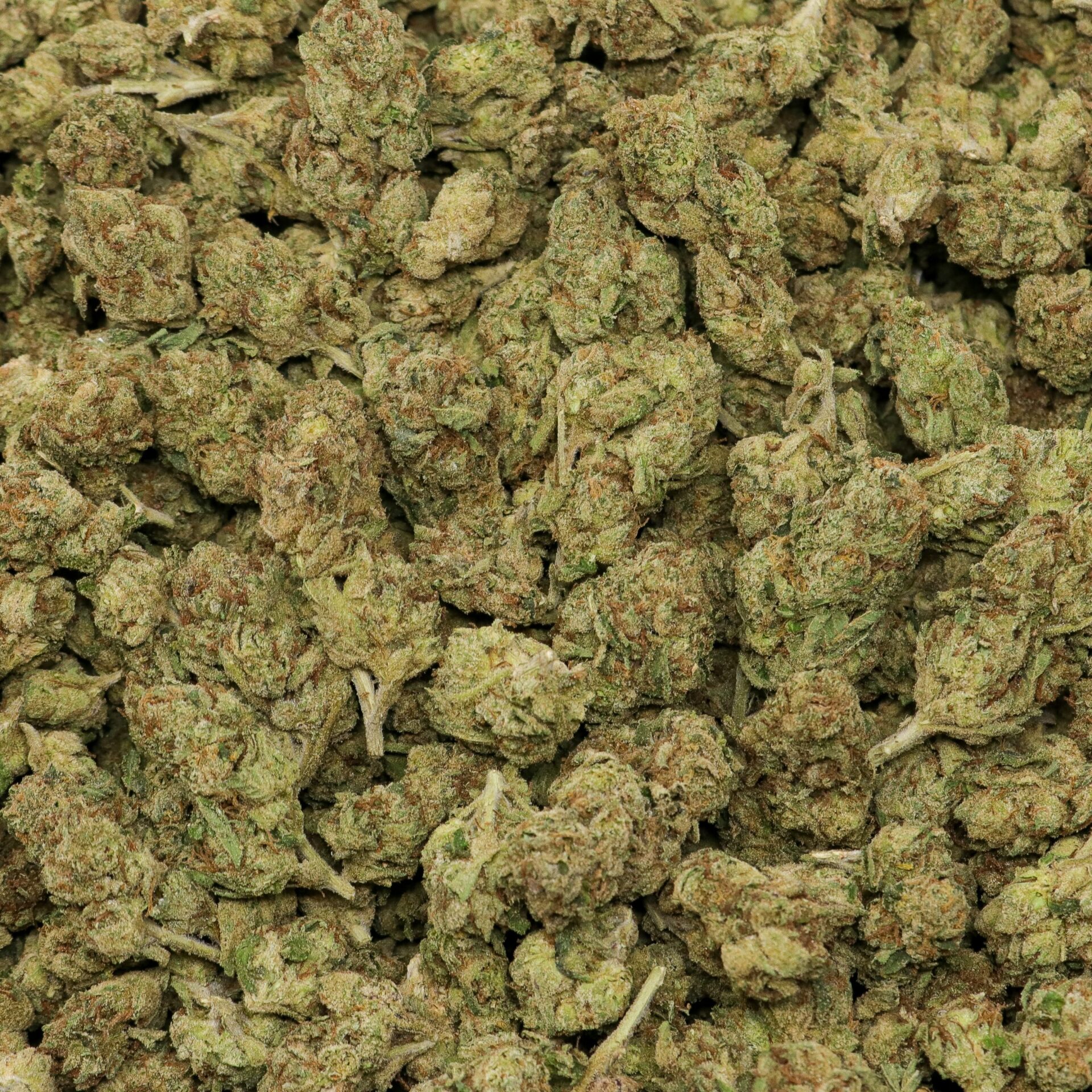 Gelato Mediums - Image 2