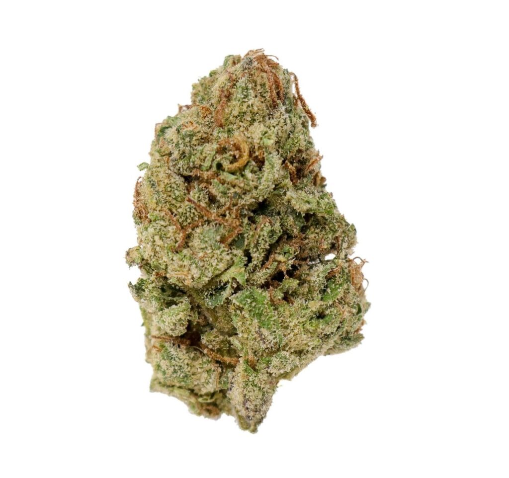 Gelato Mediums