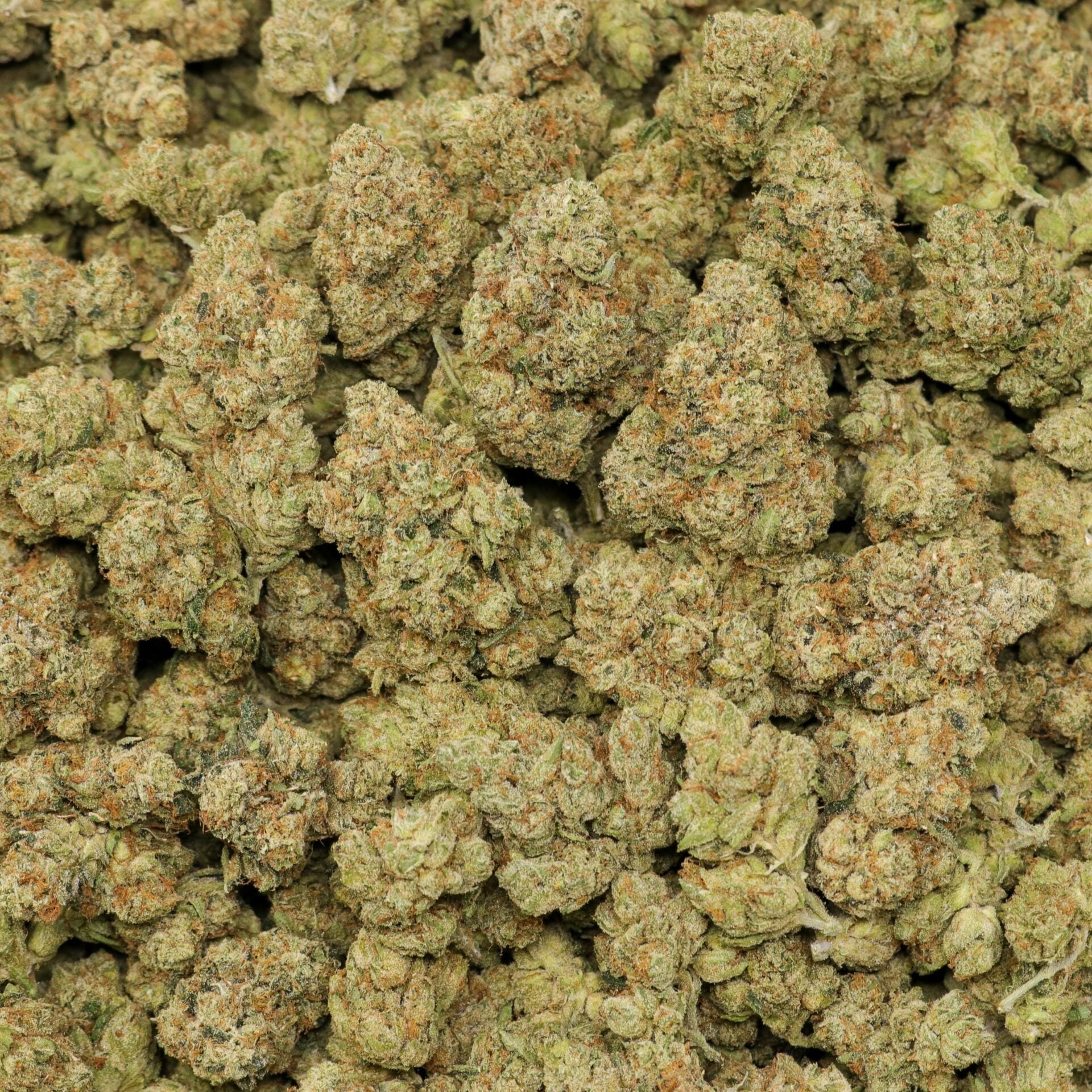 Headband OG - Image 2