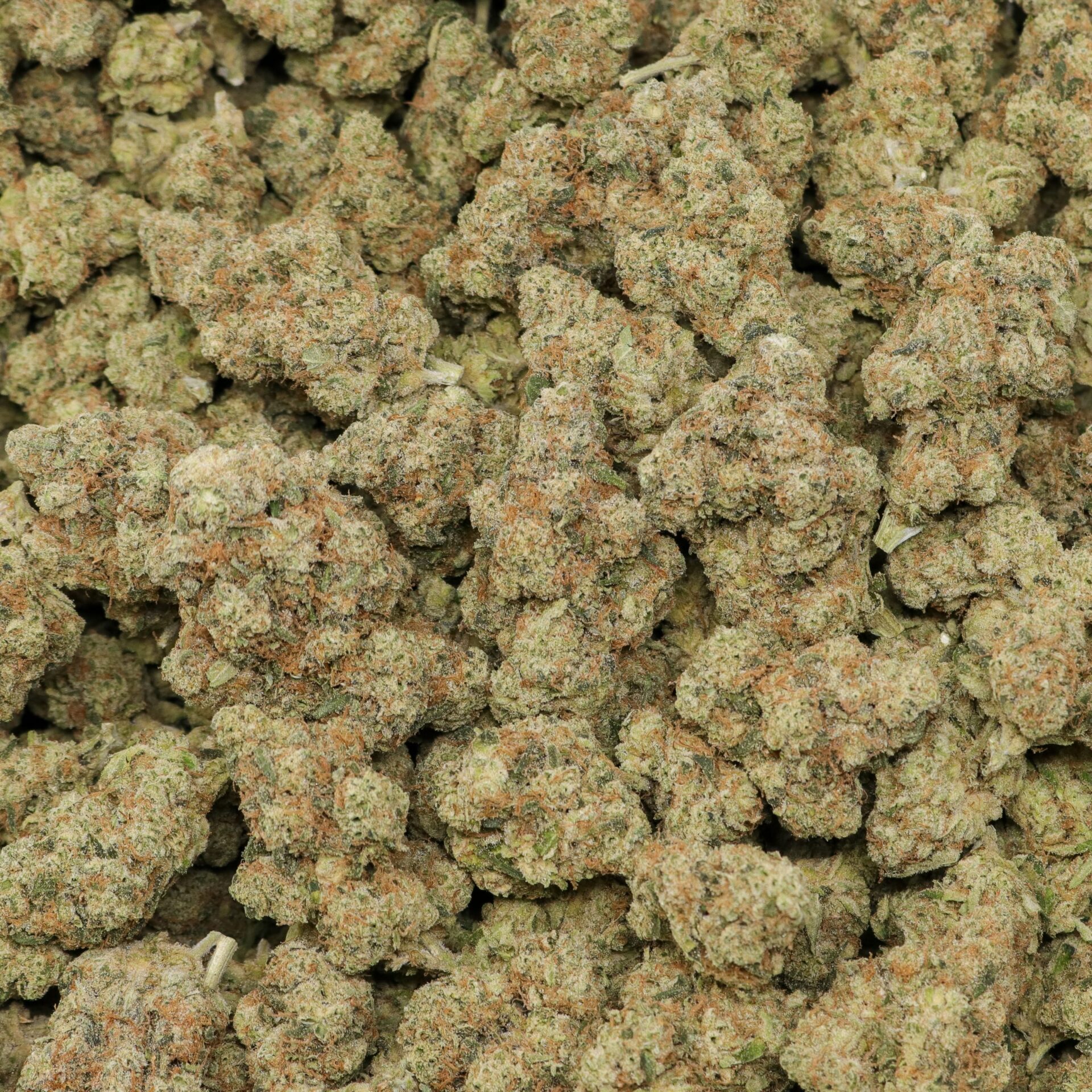 Killer OG - Image 2