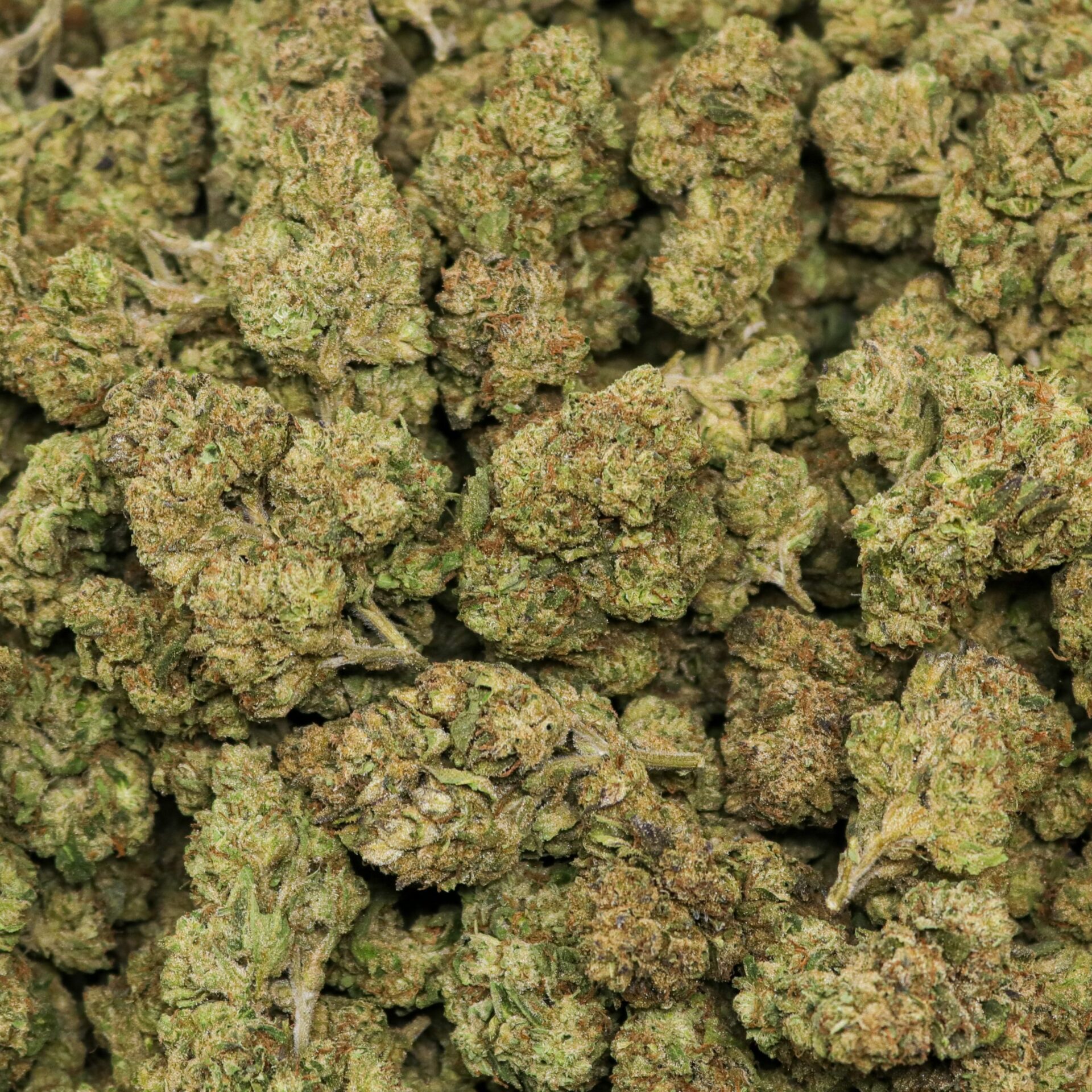 LCG 3.5 gram - Image 2