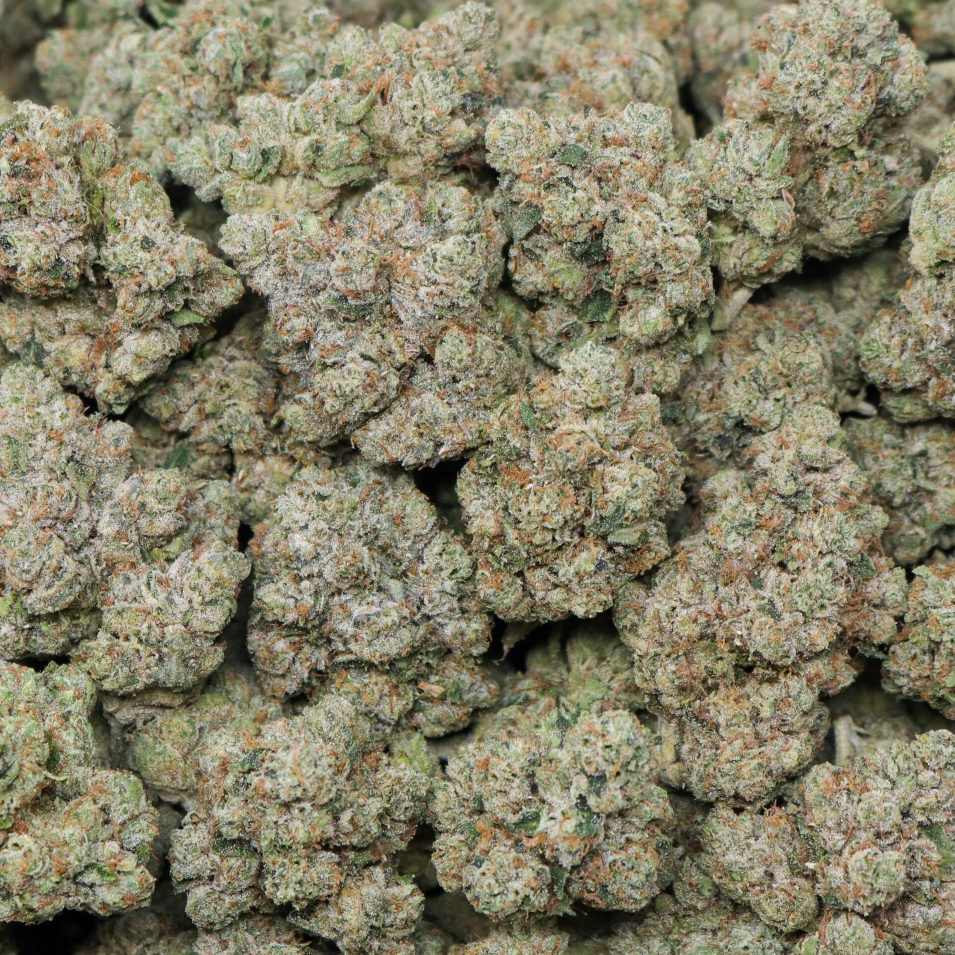 Legend OG - Image 2