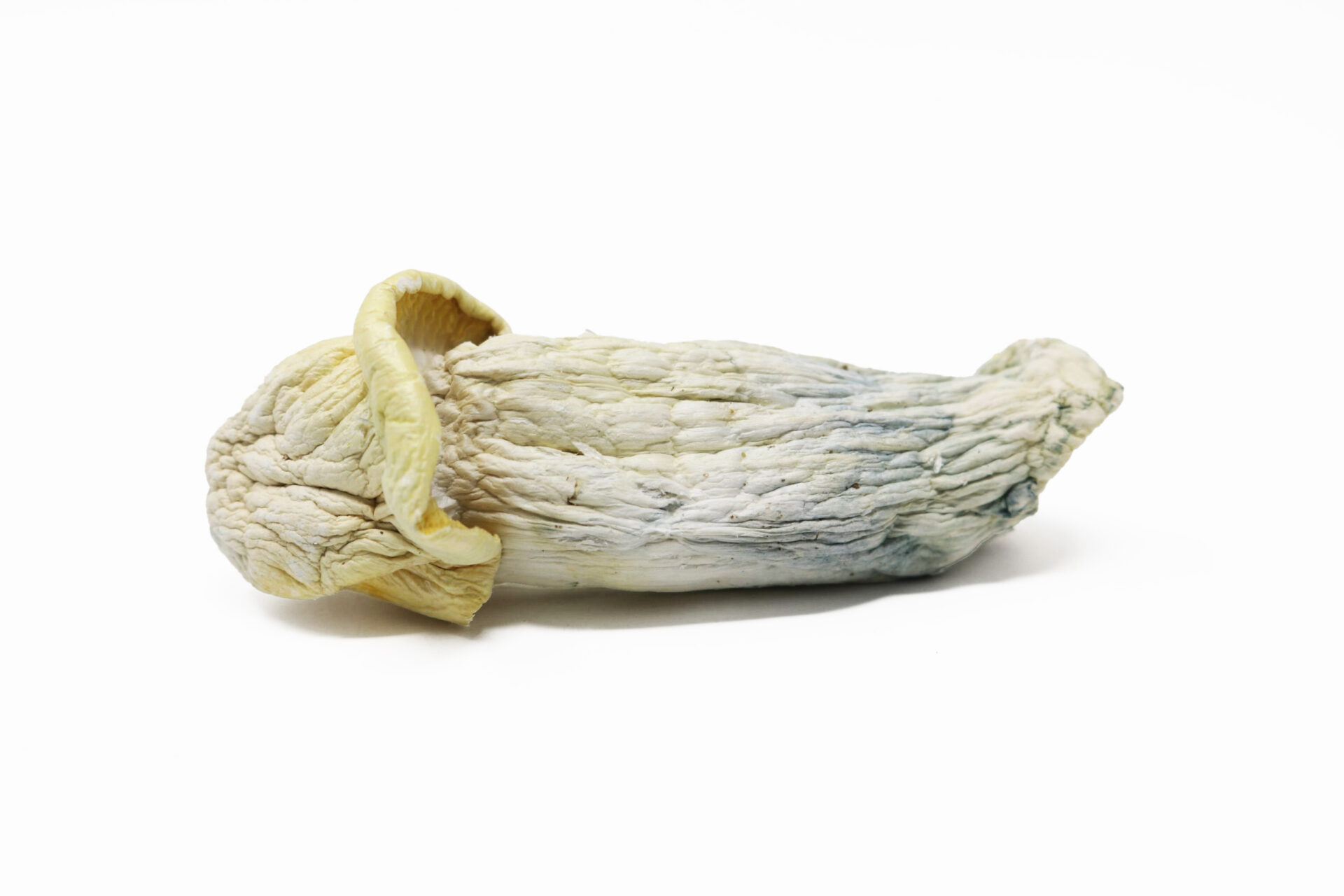 Mad Hatter — magic mushrooms available at Cali Canna