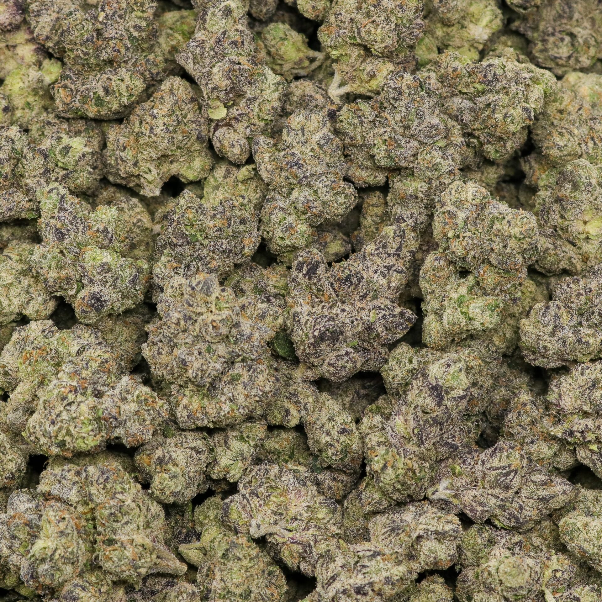 Mother of Berries - Image 2