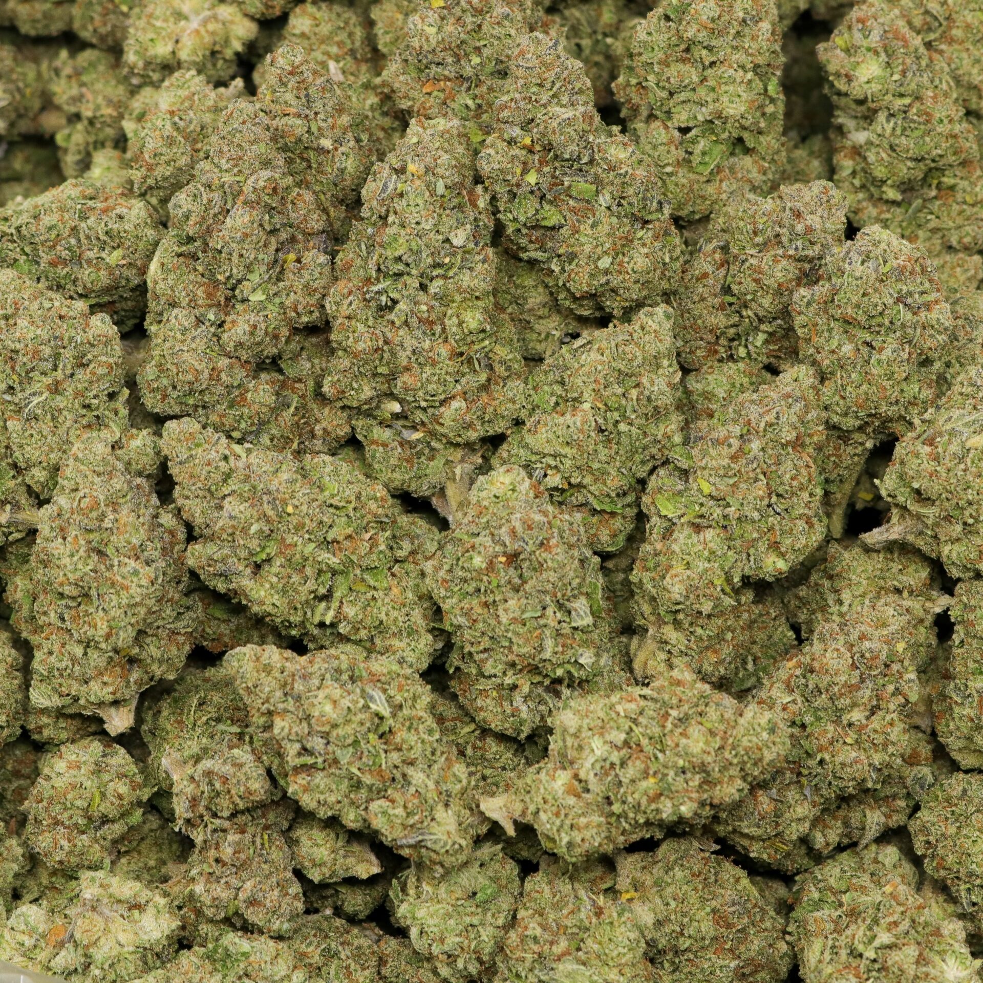 Runtz OG - Image 2