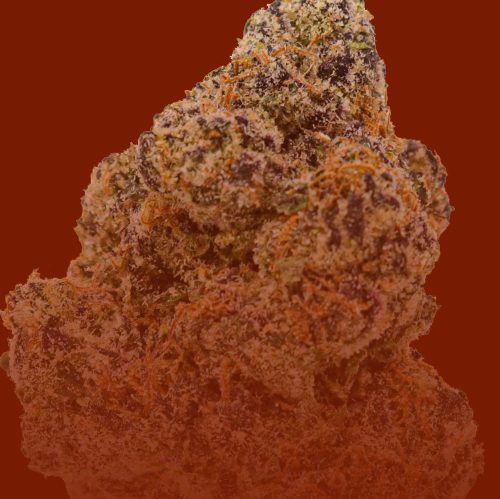 Exotic flower