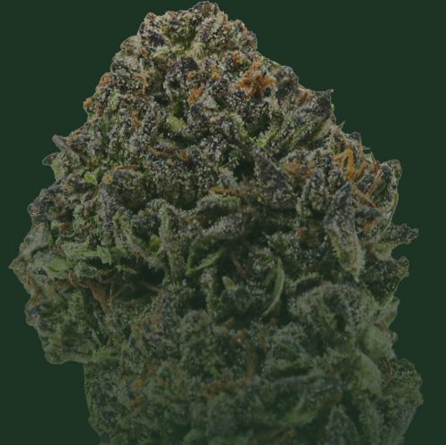 Quality flower