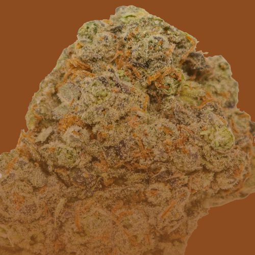 Sativa flower