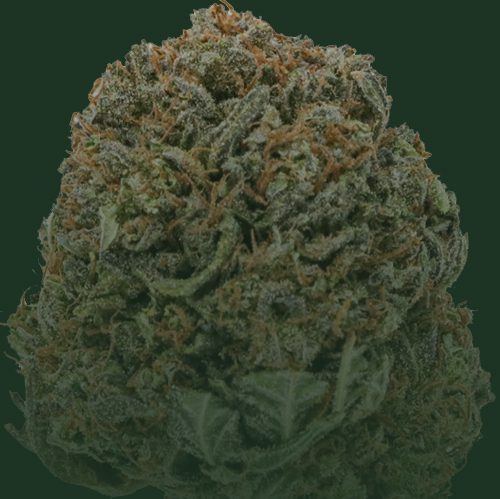 Top shelf flower