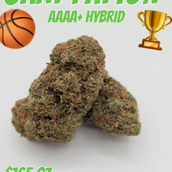 Gary Payton AAAA+ Hybrid