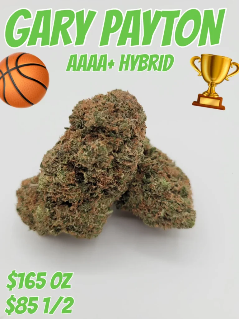 Gary Payton AAAA+ Hybrid