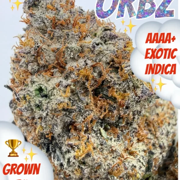 Orbitz AAAA+ Exotic Indica