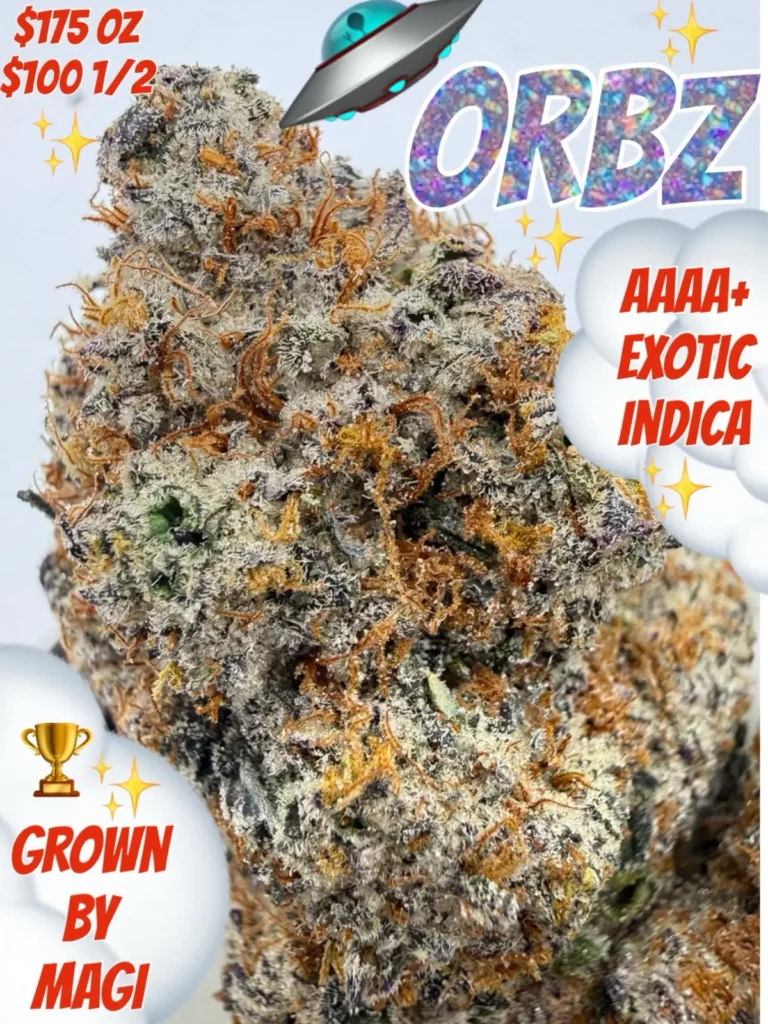 Orbitz AAAA+ Exotic Indica