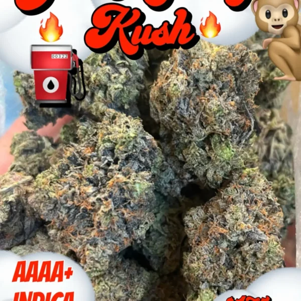 Gas Monkey AAAA+ Indica