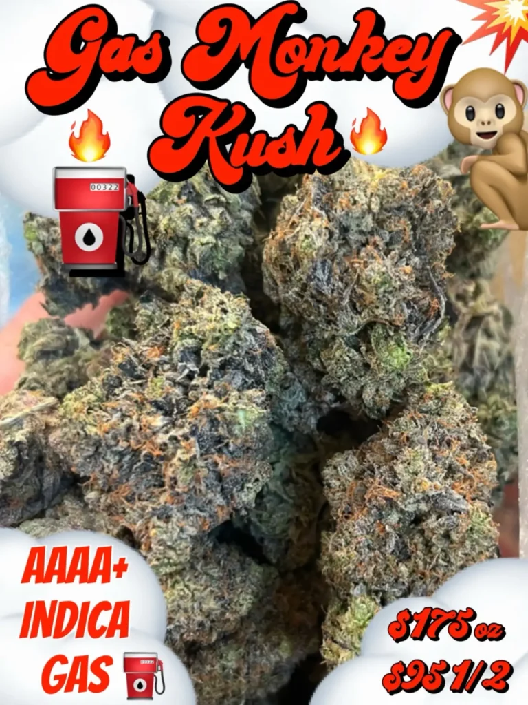 Gas Monkey AAAA+ Indica