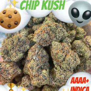 Mint Chocolate Chip AAAA+ Indica