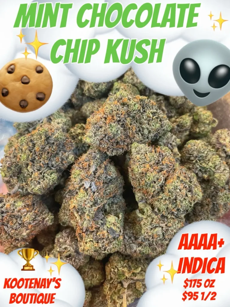 Mint Chocolate Chip AAAA+ Indica