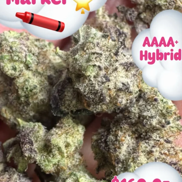 Permanent Marker – AAAA+ Hybrid
