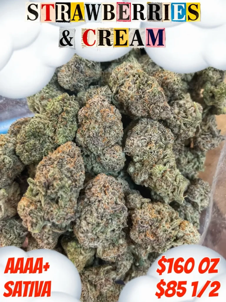 Strawberry & Cream AAAA+ Sativa