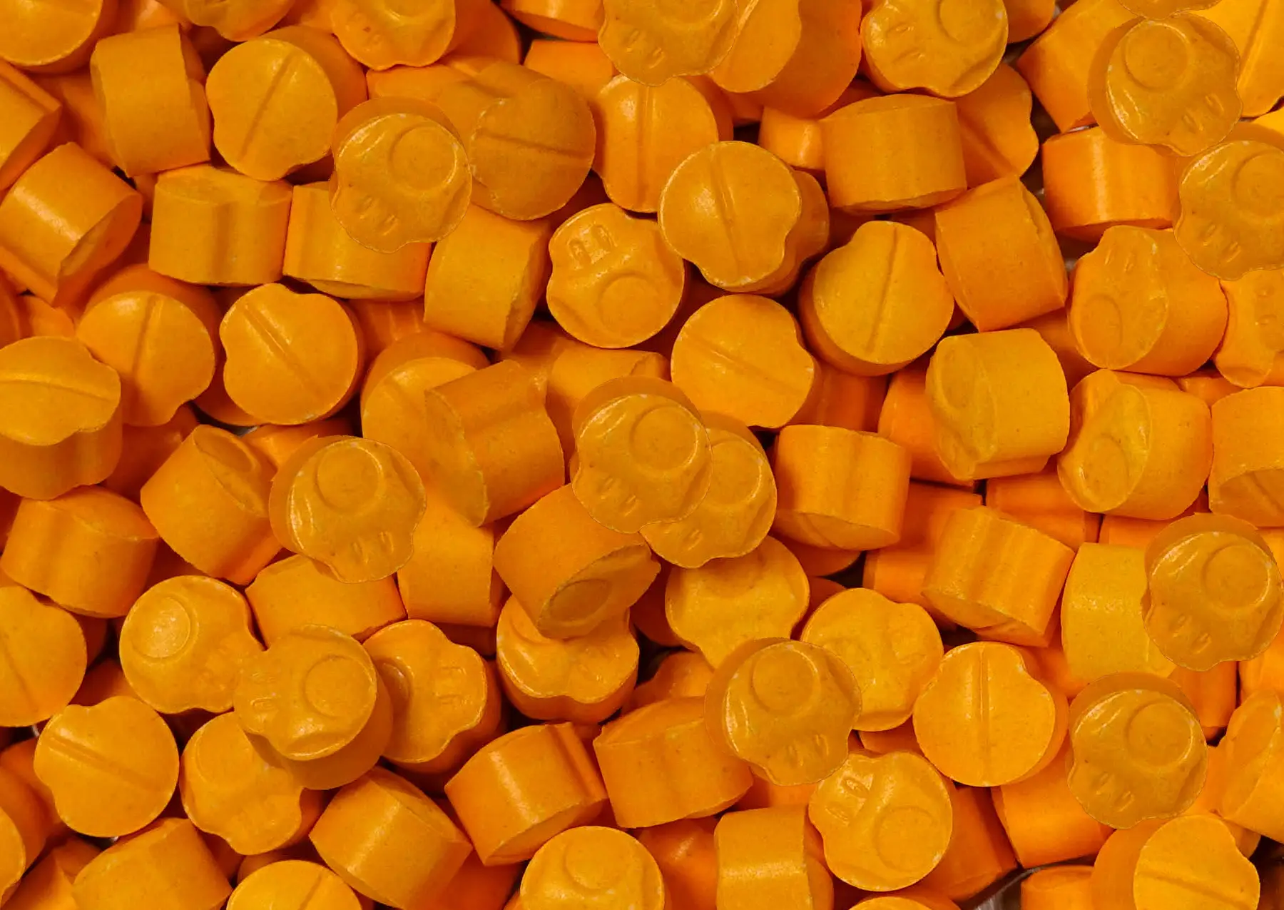 Candy Flip Toad – MDMA & LSD