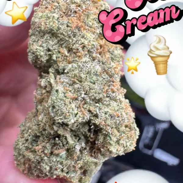 Ice Cream – Sativa