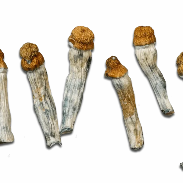 Melmac Magic Mushrooms