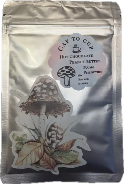 Hot Chocolate + Super 7 Magic Mushroom Blend – MOGU Psilocybin Co. – New Flavours! - Image 2